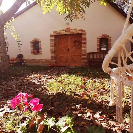 Ferienwohnung Goher Pince Es Vendeghaz Csaszartoltes Exterior foto