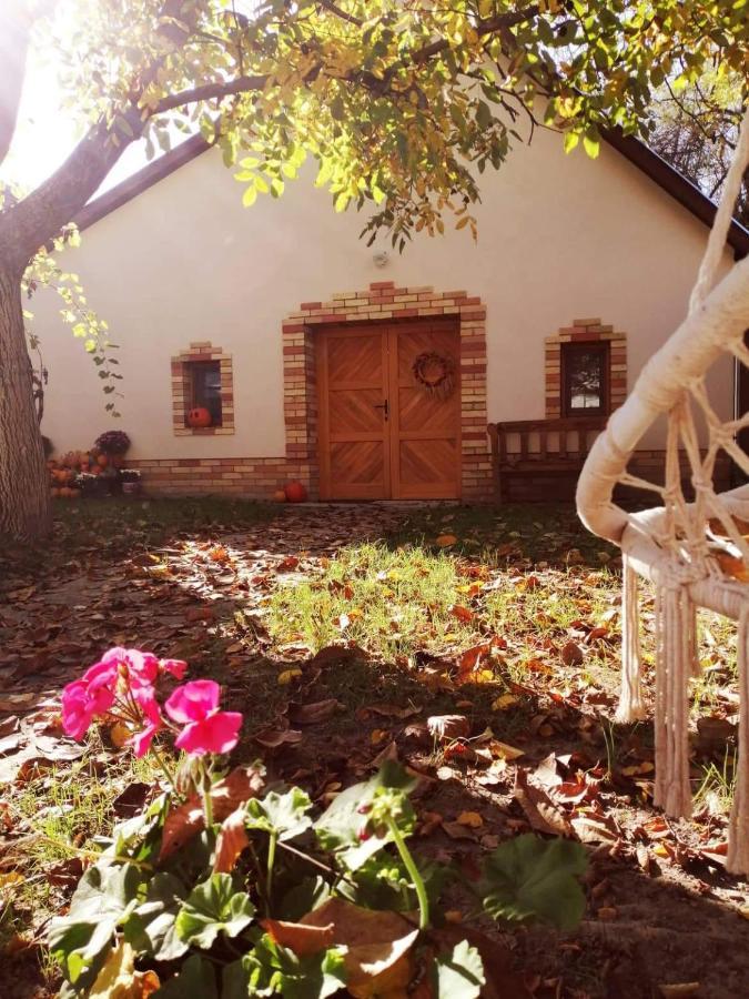 Ferienwohnung Goher Pince Es Vendeghaz Csaszartoltes Exterior foto